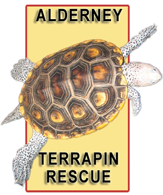 Alderney Terrapin Rescue